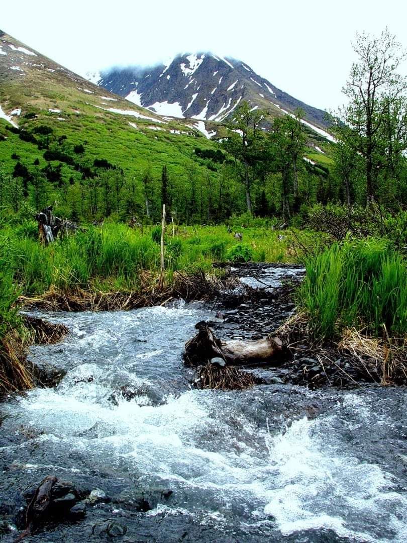 A treasured memory…